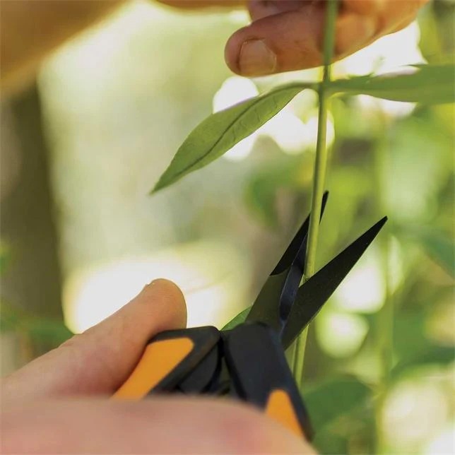 Fiskars Non-Stick Pruning Snips (2-pack) - Image 6